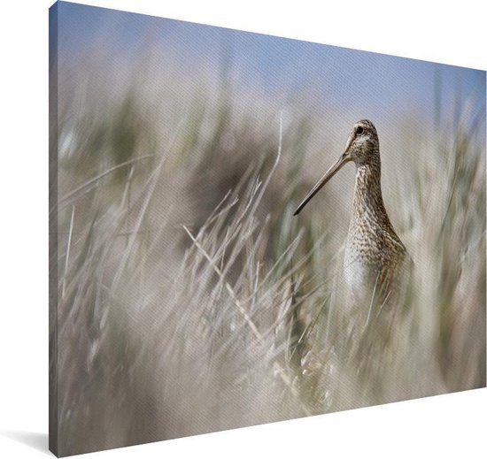 Canvas schilderij 180x120 cm - Wanddecoratie Een watersnip tussen het hoge riet - Muurdecoratie woonkamer - Slaapkamer decoratie - Kamer accessoires - Schilderijen
