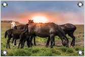 Tuinposter –Wilde Paarden– 90x60cm Foto op Tuinposter (wanddecoratie voor buiten en binnen)