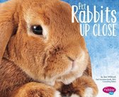 Rabbits