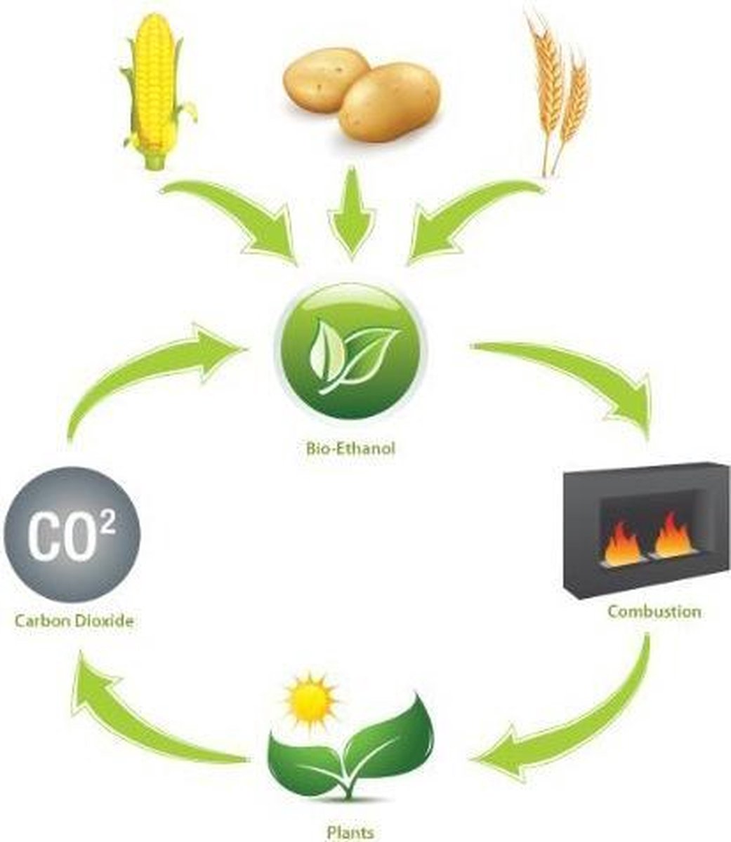Bioéthanol 100% 6 x 10 L (60 L) de Haute pureté pour cheminée à éthanol :  : Bricolage