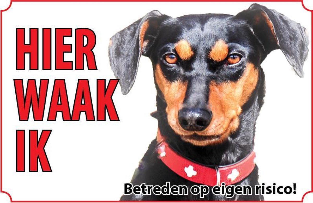 Bord Hond Duitse pinscher