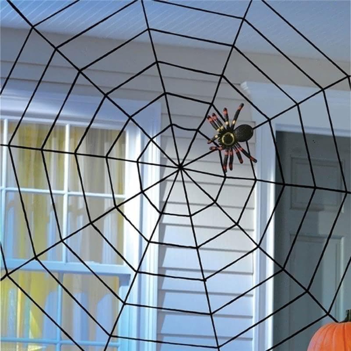 verfrommeld zwaan Vrouw Halloween Party Decoration Supply Black Spinnenweb Met Spider Honor  Speeltoestellen | bol.com
