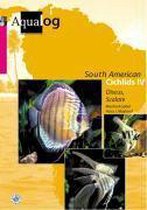 Southamerican Cichlids 4