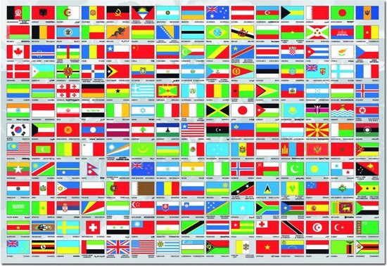 Educa - Vlaggen van de wereld - 1500 stukjes | bol.com