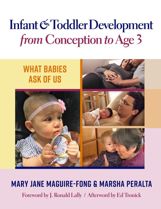 Infant and Toddler Development from Conception to Age 3 - cover