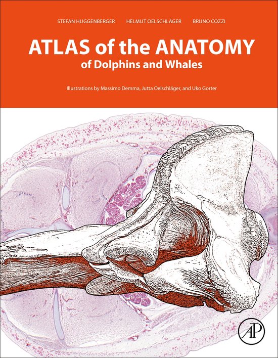 Atlas of the Anatomy of Dolphins and Whales - cover
