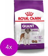 Royal Canin Shn Giant Adult - Hondenvoer - 4 x 4 kg