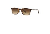 Ray-ban Wayfarer Light Ray (RB 4225) bruin unisex 52MM