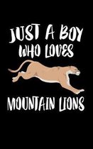 Just A Boy Who Loves Mountain Lions