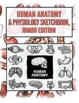 Human Anatomy Sketchbook, Jumbo Edition