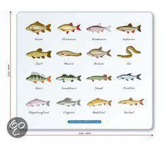 Andy Steer Hengelsportcadeau Muismat Nederlandse en Belgisch ... - cover