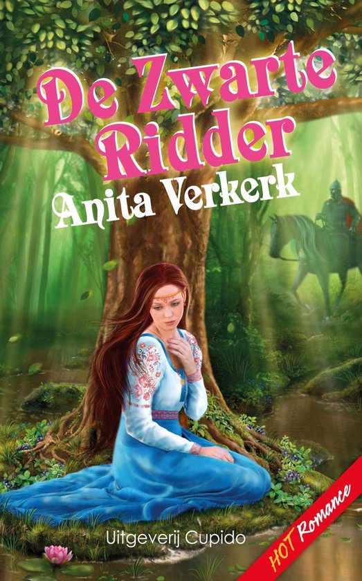 Cover van het boek 'De zwarte ridder'