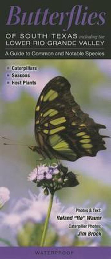 9780982490587 - Butterflies of South Texas Incl. the Lower Rio Grande Valley