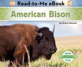 Animals of North America - American Bison