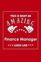 This is What an Amazing Finance Manager Look Like