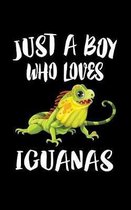 Just A Boy Who Loves Iguanas