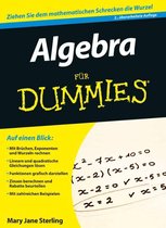 Algebra Fur Dummies