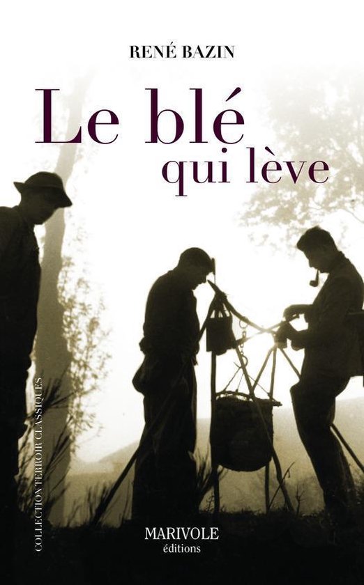 Terroirs classiques - Le Blé qui lève
