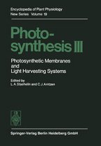 Photosynthesis III