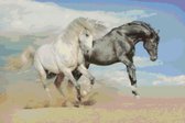 DP® Diamond Painting pakket volwassenen - Afbeelding: Jumping Horses - 40 x 60 cm volledige bedekking, vierkante steentjes - 100% Nederlandse productie! - Cat.: Dieren - Paarden