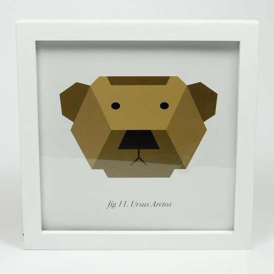 Walther Design | Houten fotolijst kopen? . . Alle kleuren