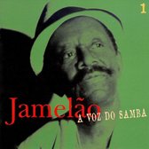 Voz Do Meu Samba, Vol. 1