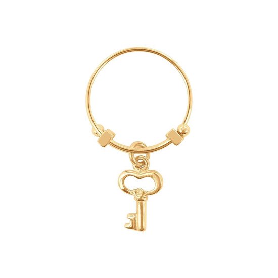 CO88 Collection Beloved 8CR 10003 54 Stalen Ring met Hanger - Sleutel - Maat 54 - Goudkleurig