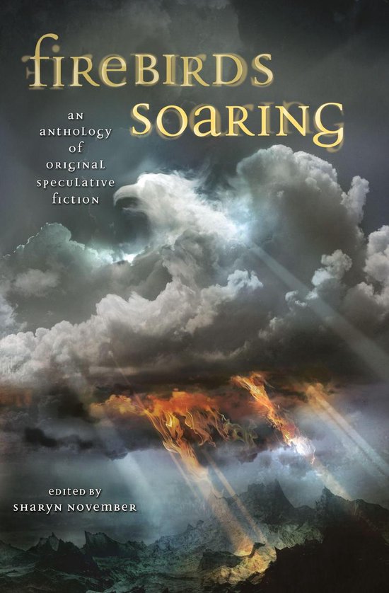Boekomslag met de titel 'fireBIRDS SOARING'. Een feniks met vlammen vliegt door donkere, dramatische wolken.