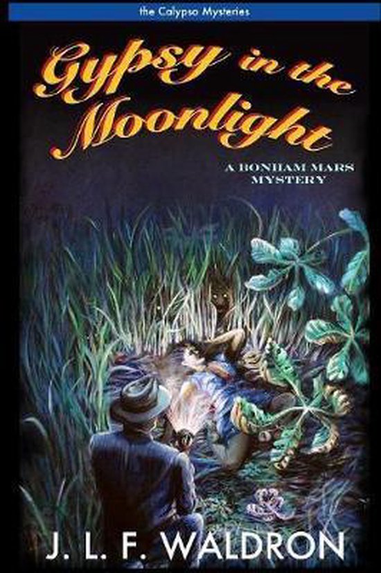 Gypsy in the Moonlight - cover