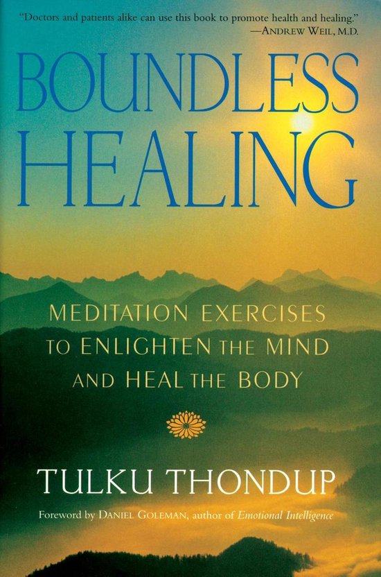 Omslag van Boundless Healing