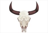 FineArt poster - " Stier Skull" - Bull Schedel - textuurpapier - A3