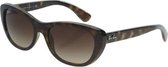 Ray-Ban RB4227 710/13 - zonnebril - Tortoise / Bruin Gradiënt - 55mm