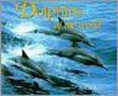 Dolphins of the World