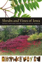 Bur Oak Guide - Shrubs and Vines of Iowa