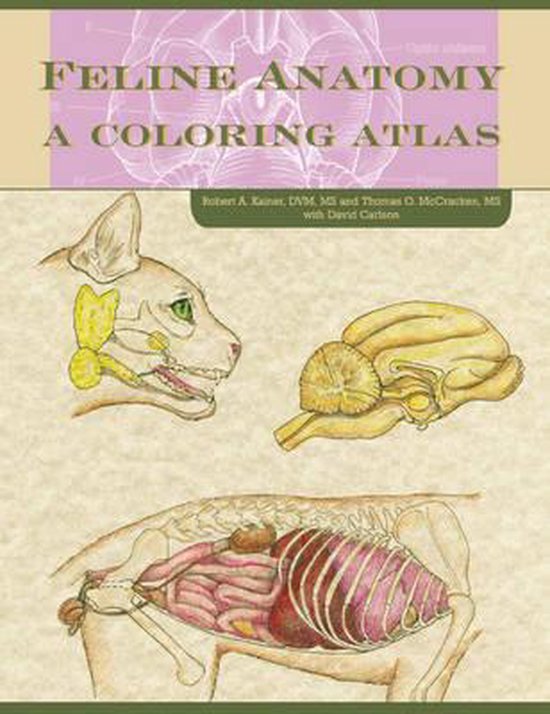 Feline Anatomy - cover