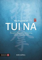 The Practice of Tui Na