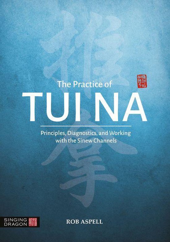 The Practice of Tui Na - cover