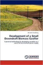 Development of a Small Downdraft Biomass Gasifier
