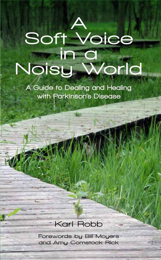 A Soft Voice in a Noisy World A Guide to Dealing and Healing ... - cover