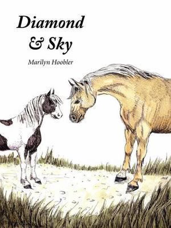 Diamond & Sky - cover