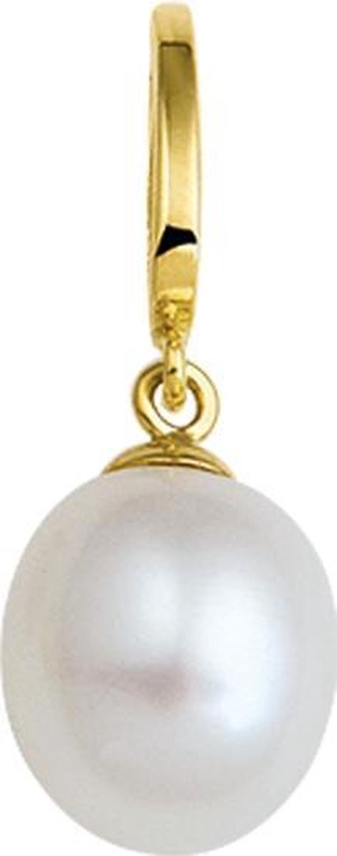 The Jewelry Collection Hanger Parel 13 X 8,5 mm - Goud