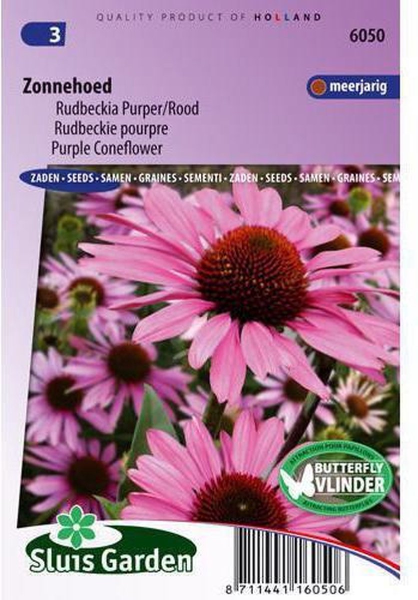 Sluis Garden - Zonnehoed purpurea (Echinacea) - Sluis garden
