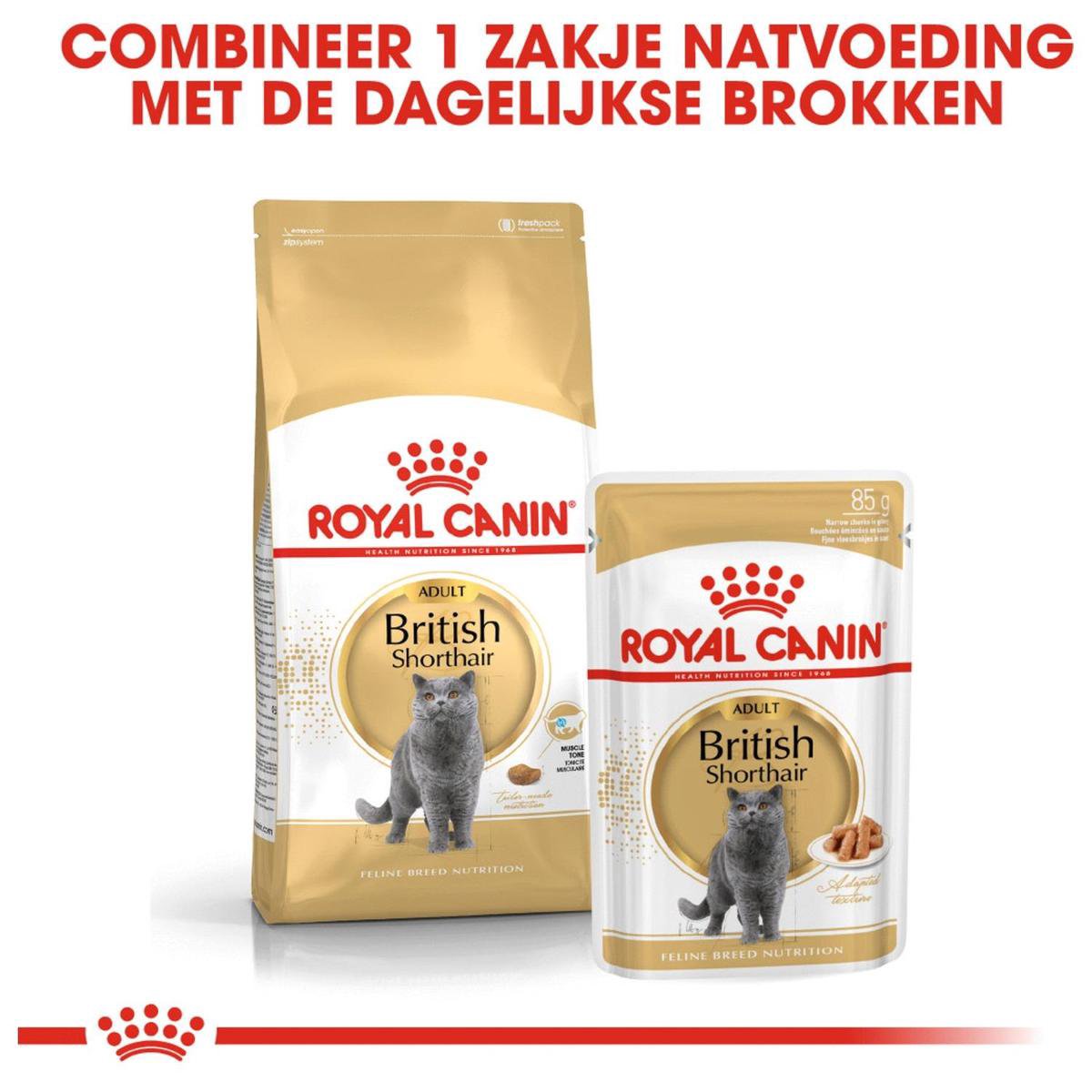 Royal Canin British Shorthair Adult - Kattenvoer - 10 kg | bol.com