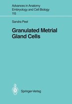 Granulated Metrial Gland Cells