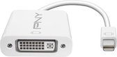 PNY Mini DisplayPort - DVI Wit
