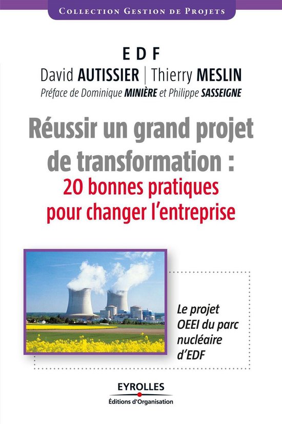 Gestion de projets - Réussir un grand projet de transformat ... - cover