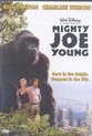 Mighty Joe Young