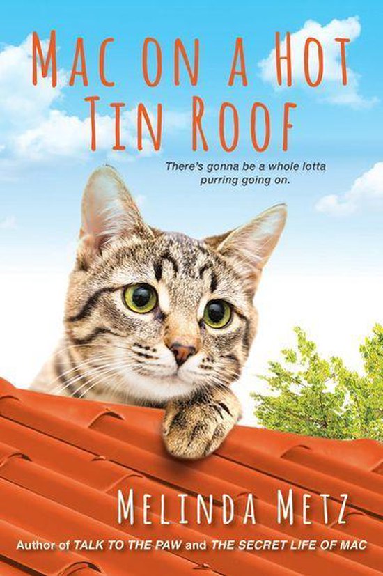 Mac on a Hot Tin Roof - cover
