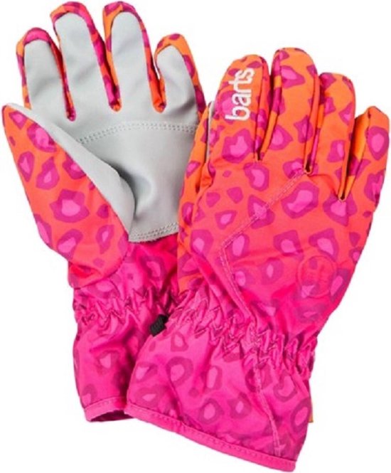 Reciteren adelaar rukken Barts Unisex Ski handschoenen - Kleurrijk - Maat S | bol.com