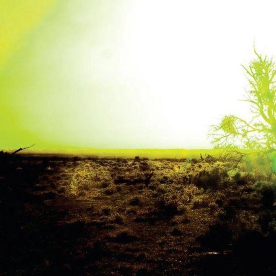 Strings Of Consciousness